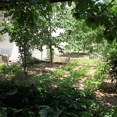 Marjan Hill - Close To Center & Garage Daire *